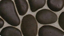 ブラック(L)